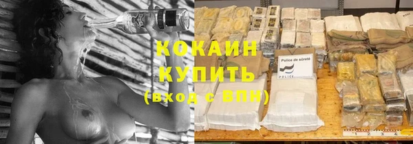 дживик Зеленокумск