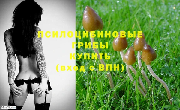 дживик Зеленокумск