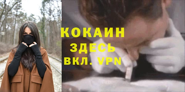 дживик Зеленокумск