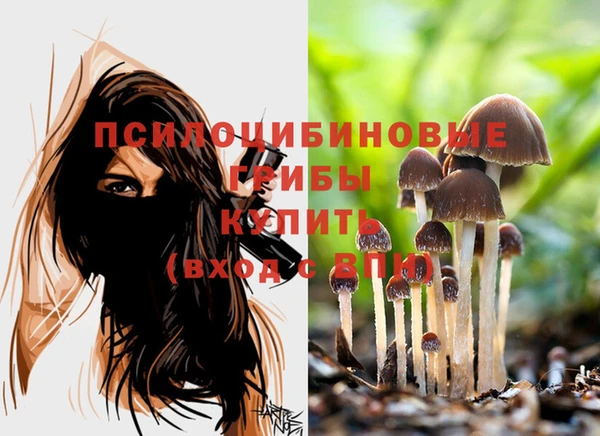 дживик Зеленокумск
