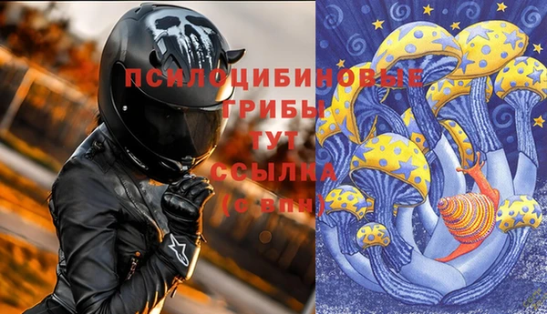 дживик Зеленокумск
